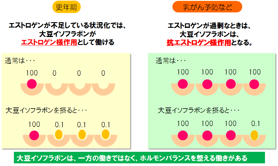 大豆を食べることの他の利点はありますか?